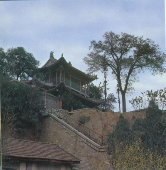 宝鸡金台观博物馆.jpg