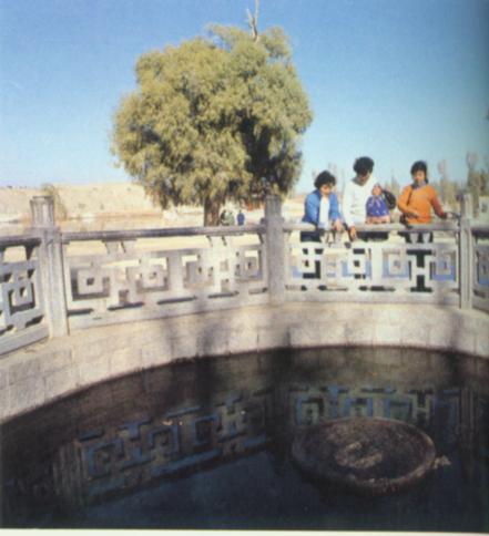 酒泉街头风景.jpg