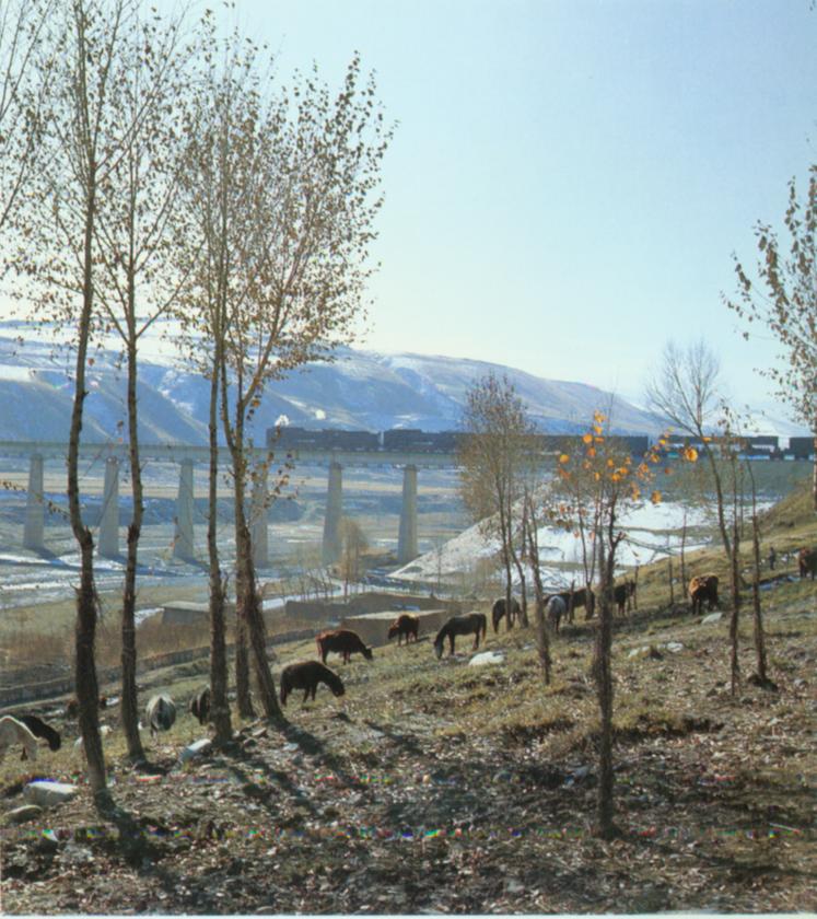 兰新铁路古浪河大桥.jpg