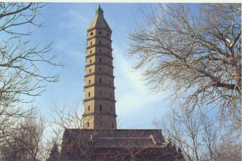 银川西塔.jpg