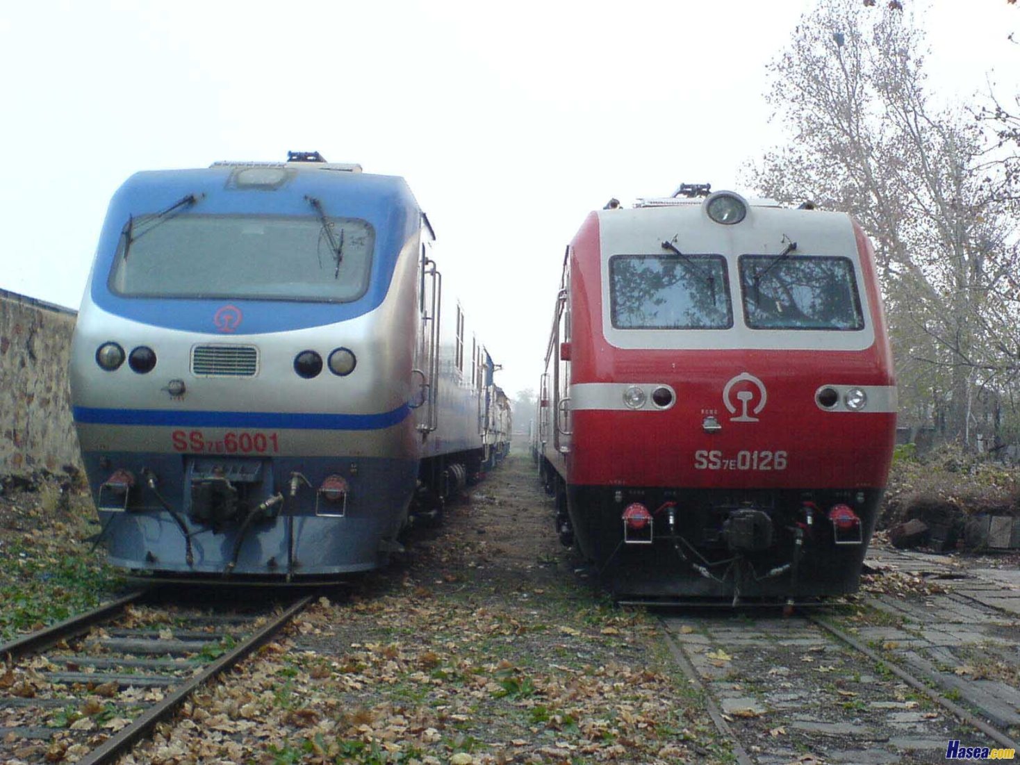 SS7E-0126.jpg