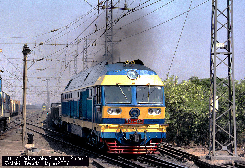 ND4-05.jpg