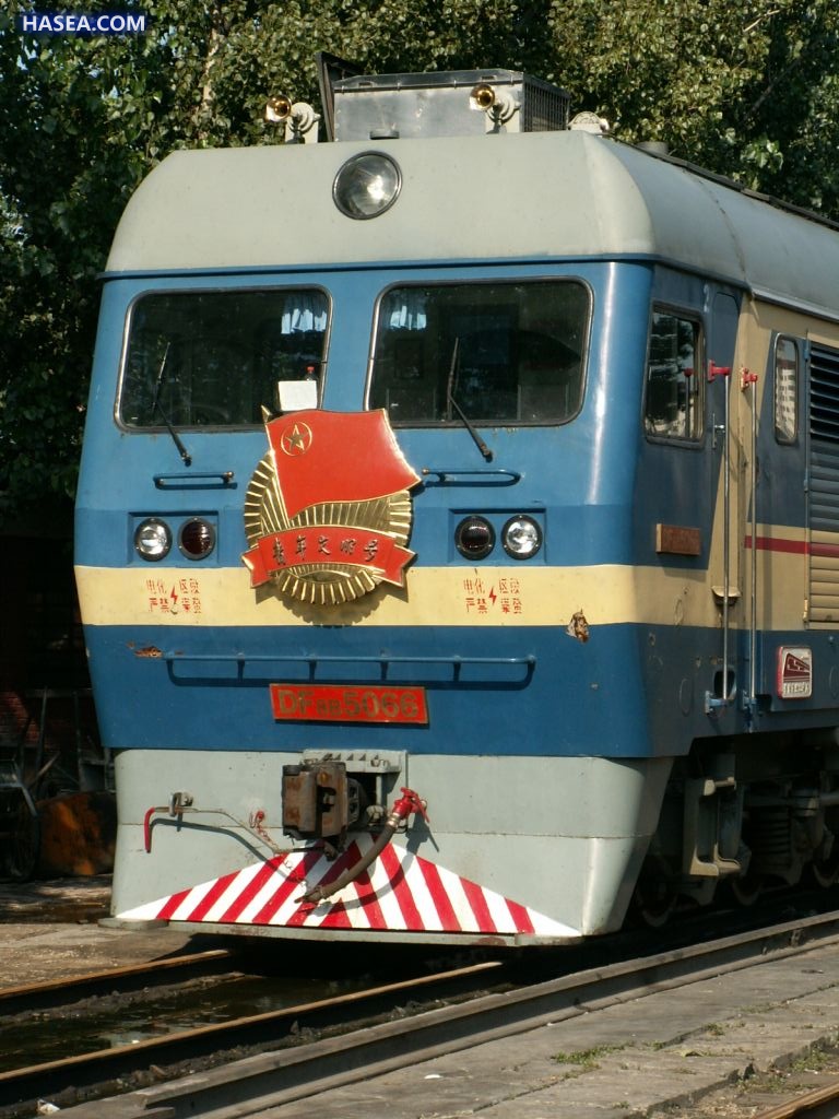 8566.jpg