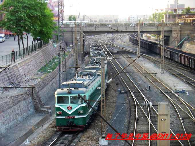 ss1  256.jpg