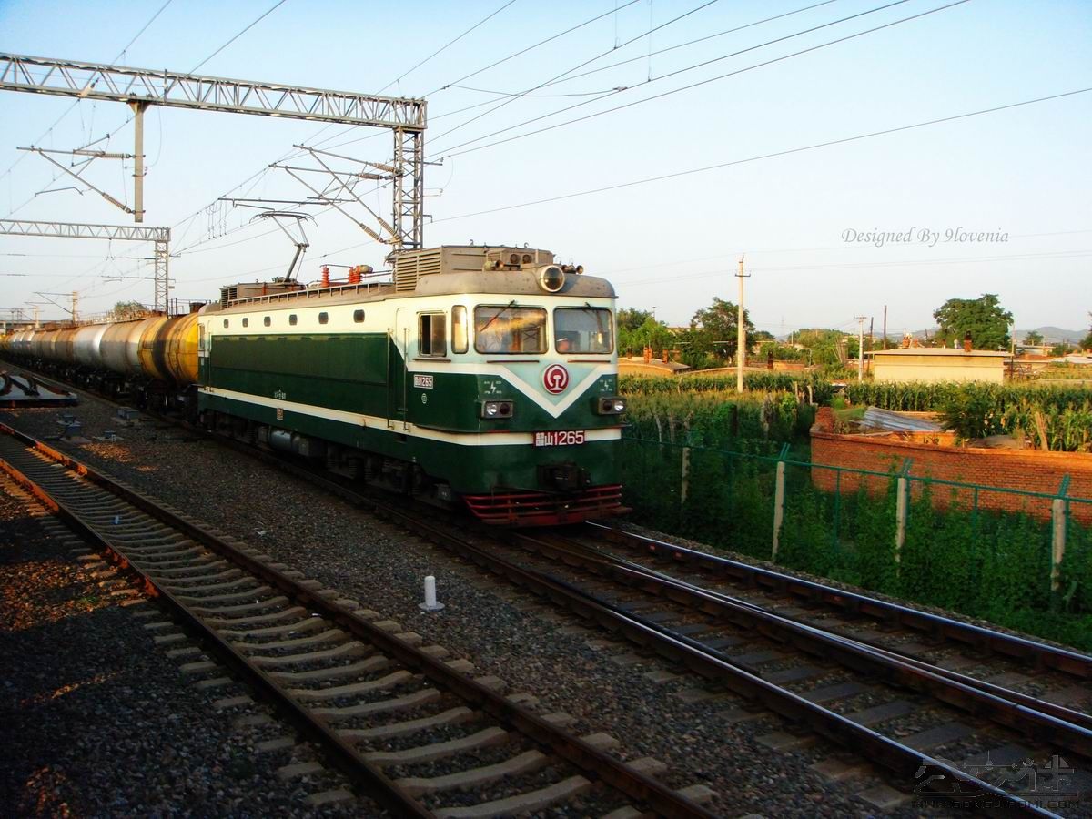 ss1  265.jpg