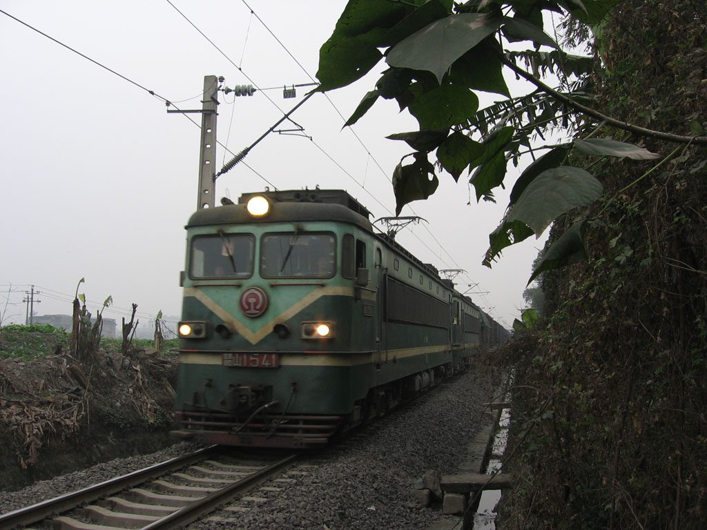 ss1  541.jpg