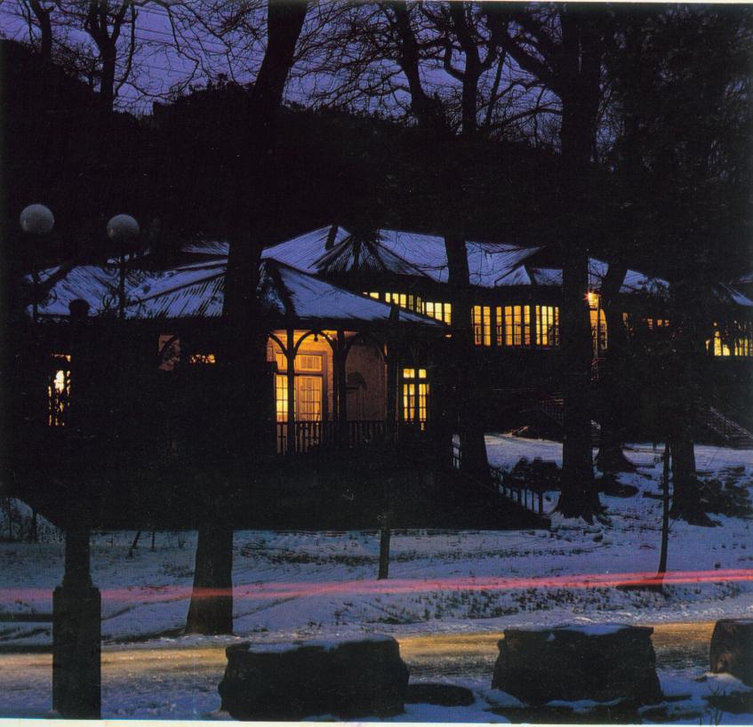 牯岭的雪夜.jpg