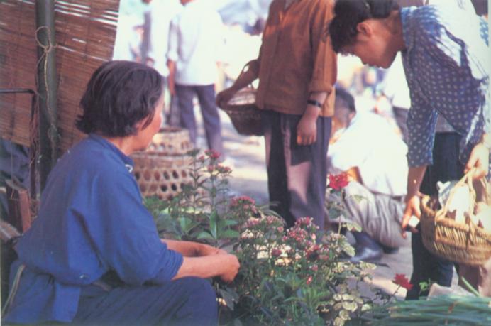 花卉市场.jpg