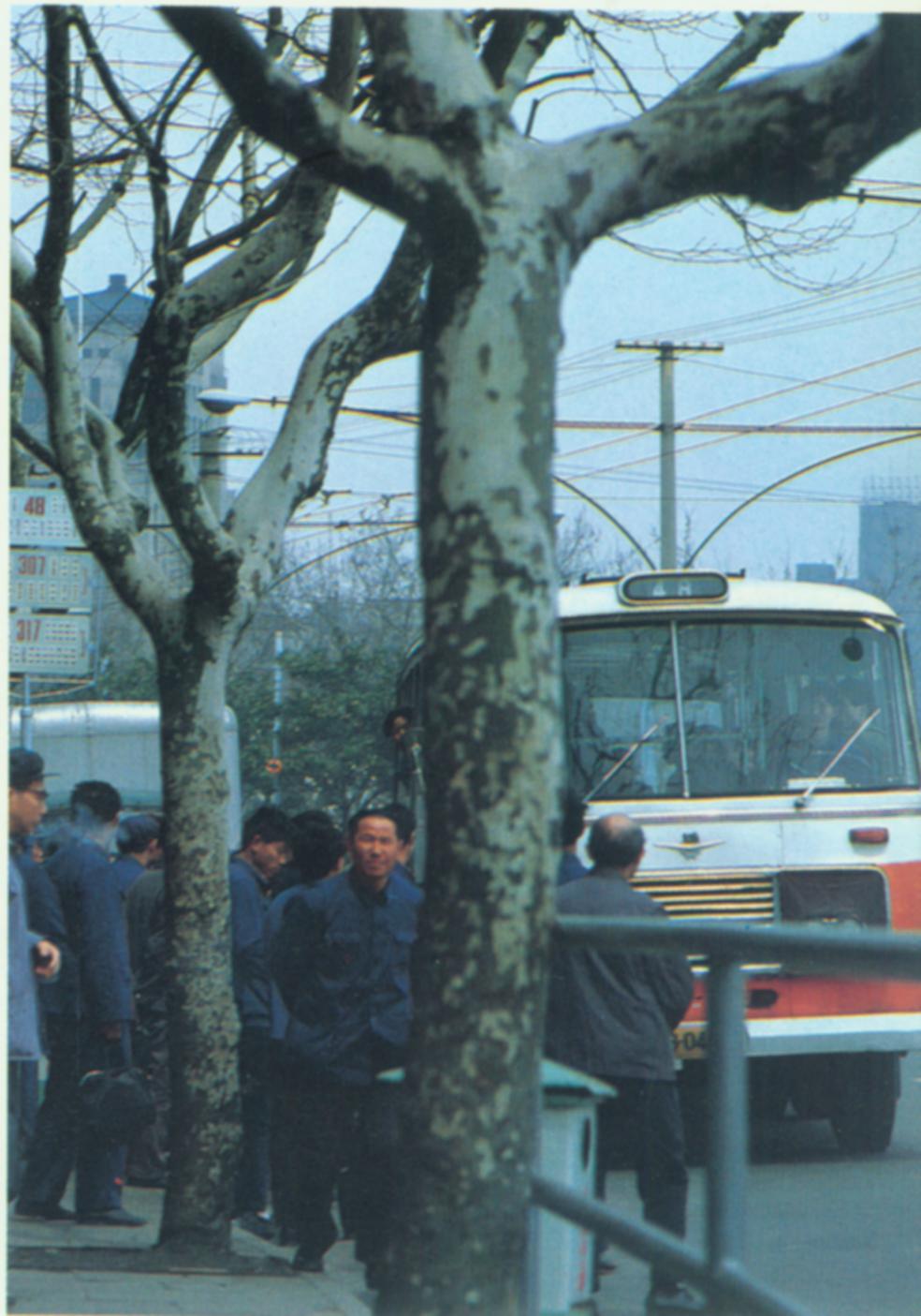 上海市内公交.jpg
