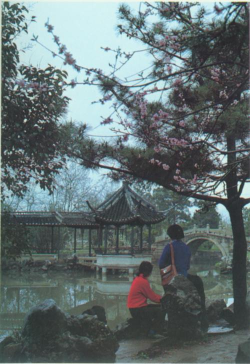 松江醉白池公园.jpg