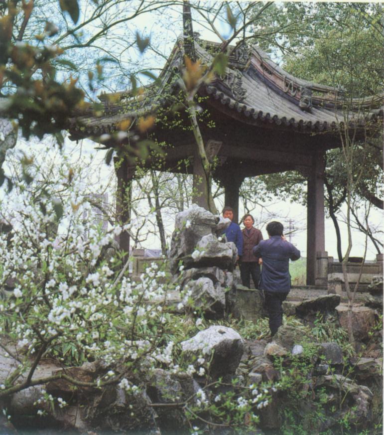 苏州沧浪亭.jpg
