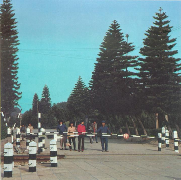 厦门市内的铁路道口.jpg