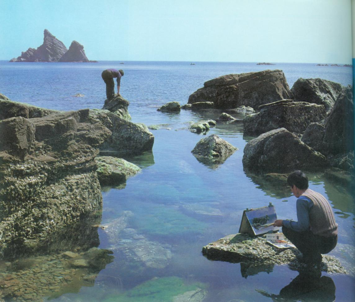 芝罘半岛.jpg