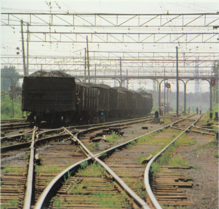 083AC3BACCBFD4CB_1111642863.jpg
