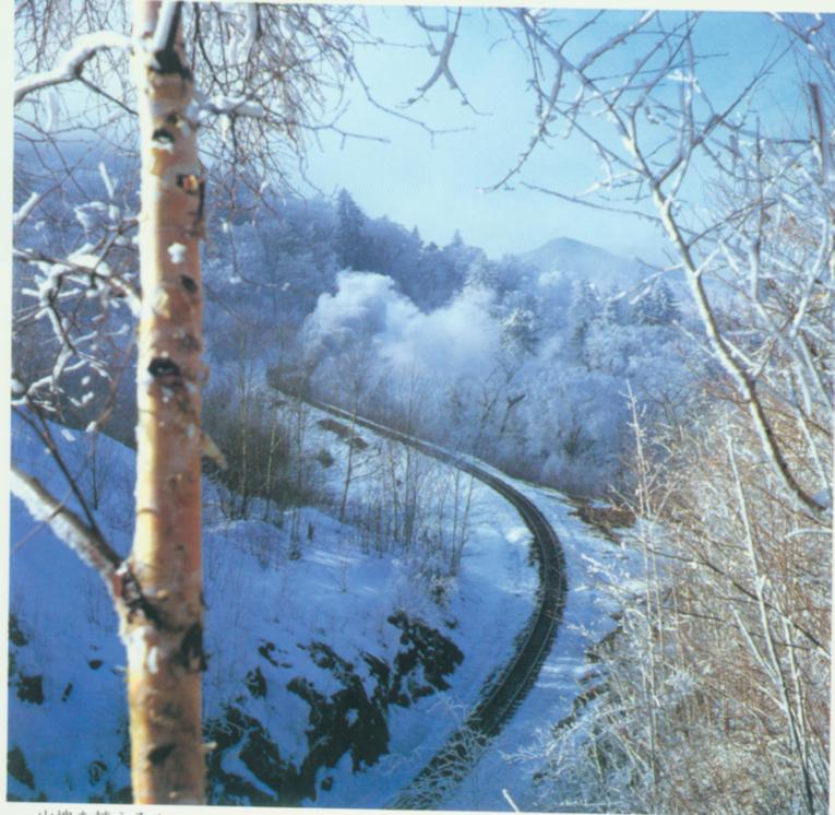 翻山越岭.jpg