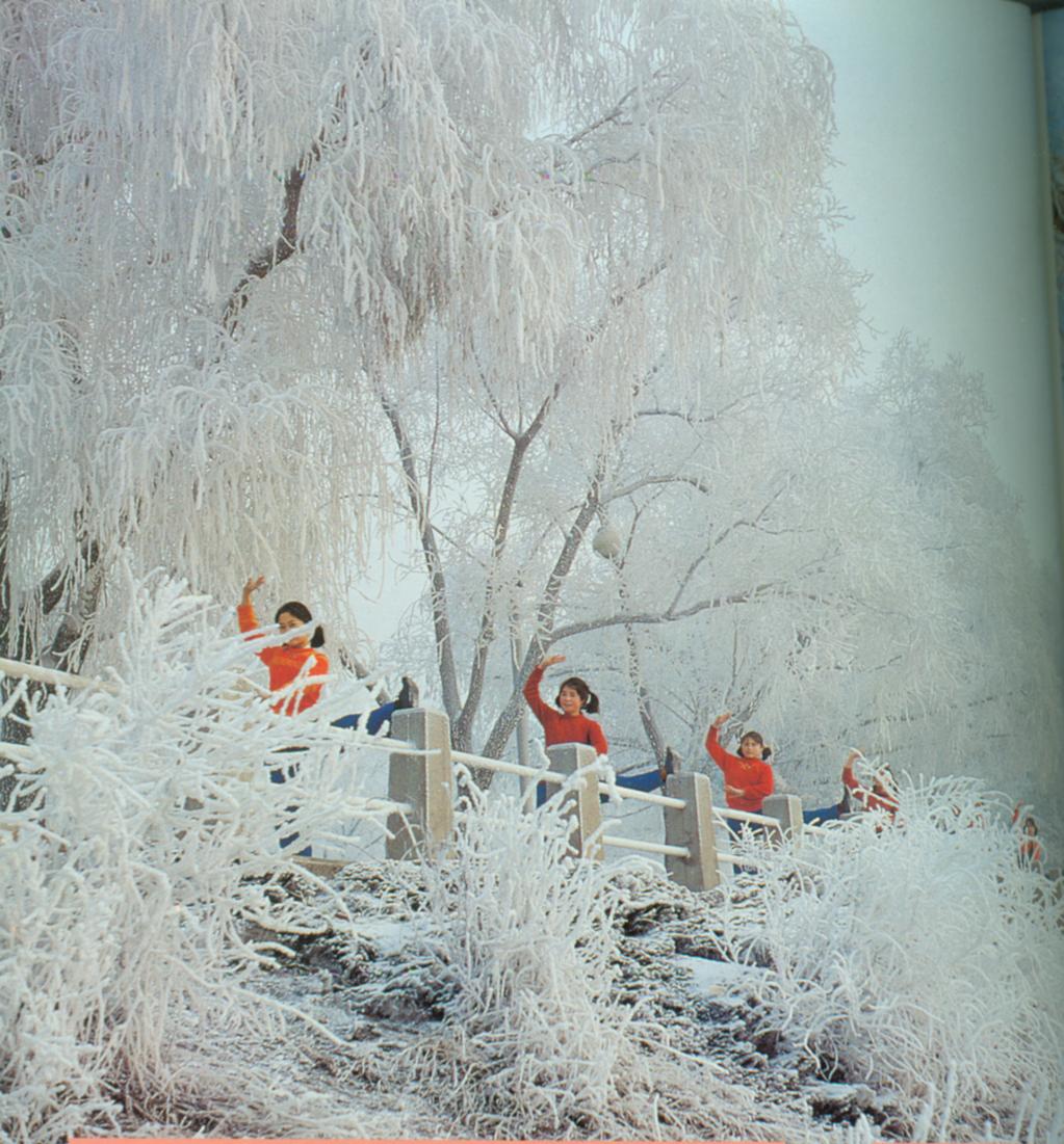 吉林市人民在冰天雪地中坚持锻炼.jpg
