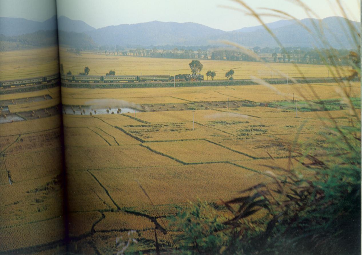 梅河口附近。.jpg
