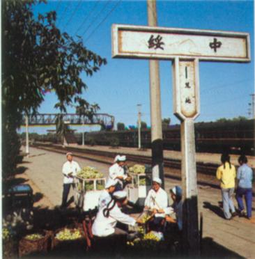绥中站内.jpg