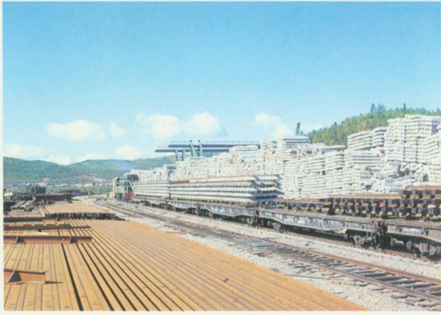 塔河站以东新修线路.jpg