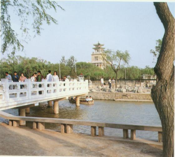 天津水上公园－八里台.jpg