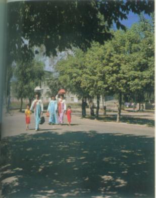 图们街头.jpg