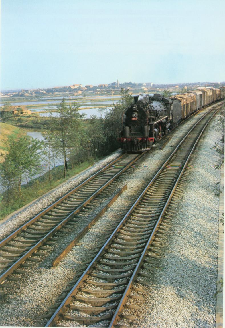 FD型1554号.jpg