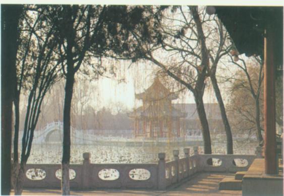 保定莲池公园.jpg