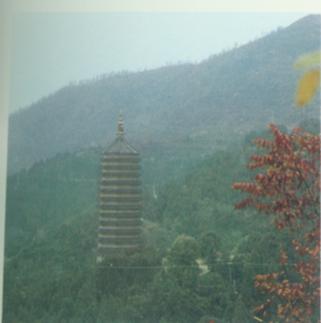 佛牙舍利塔beijing.jpg