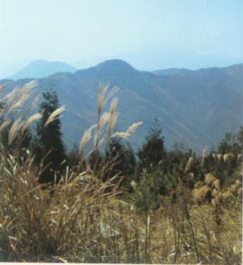 衡山的秋天.jpg