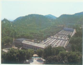 邙山灌溉工程.jpg
