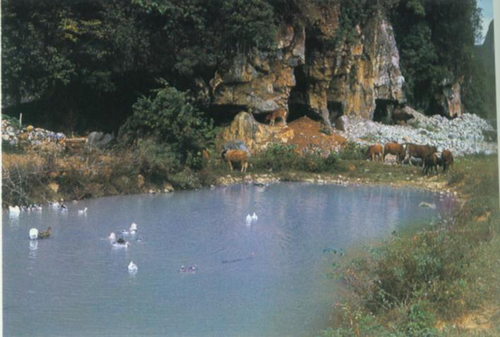 农村风光.jpg
