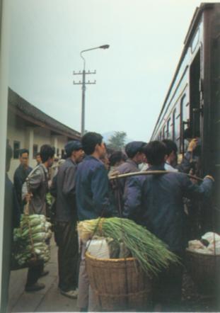 坪石站周围菜农.jpg