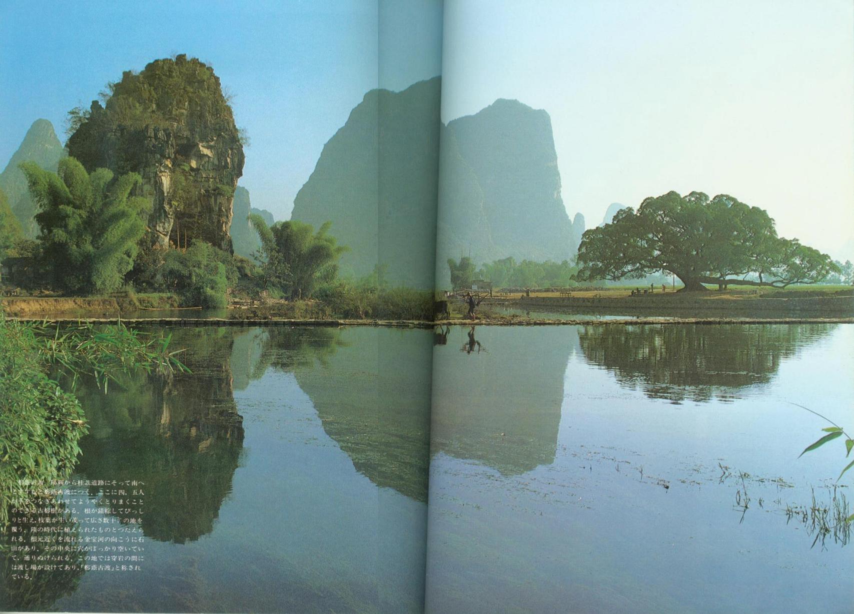 榕荫古渡.jpg