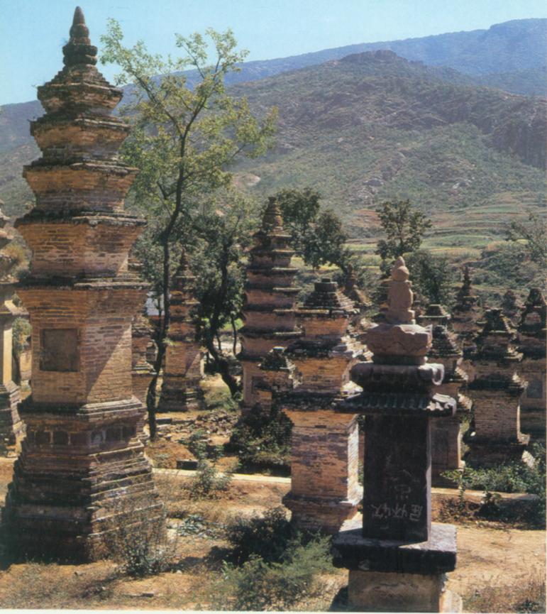 少林寺碑林.jpg