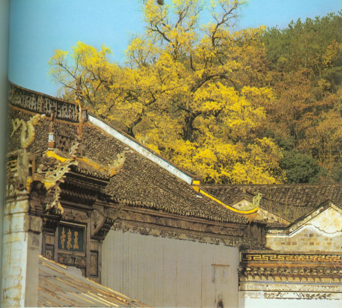 玉泉寺.jpg