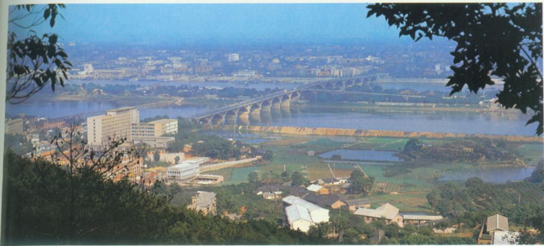 岳麓山远眺.jpg