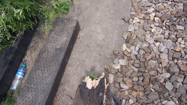 100_7235.JPG