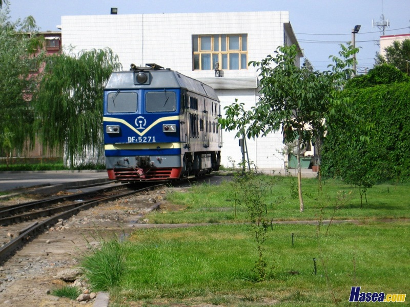 DF4C-5271.JPG