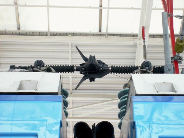 BCG1-E.jpg