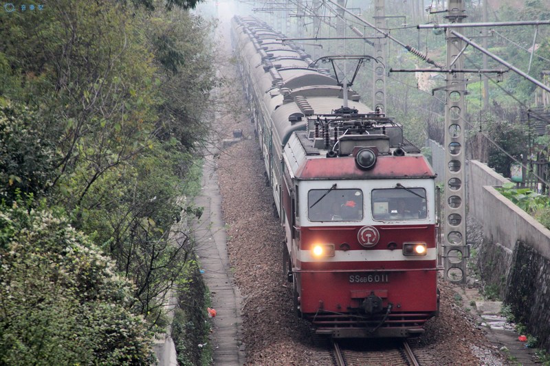 SS6b-6011.jpg