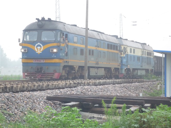 7786.jpg