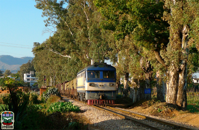 DF21-02-2.jpg