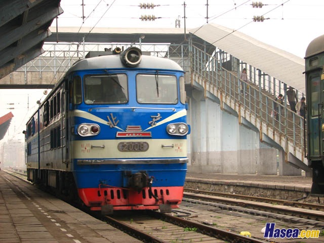 2008.jpg