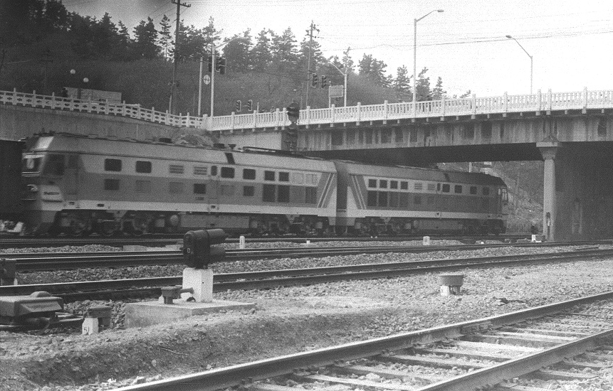 DF4E-1.jpg