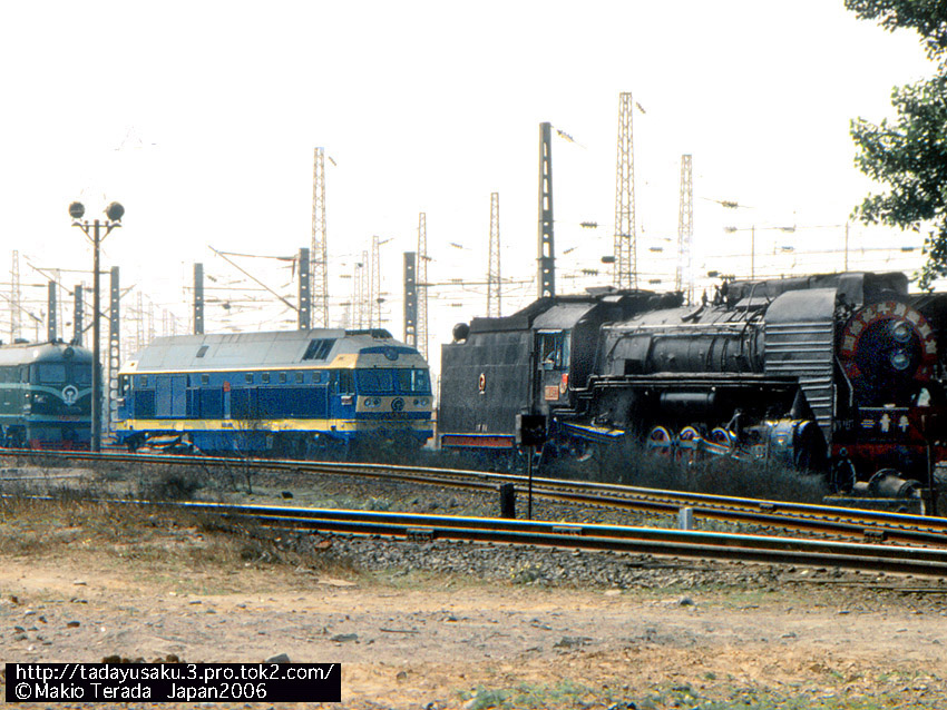 ND4=2.jpg