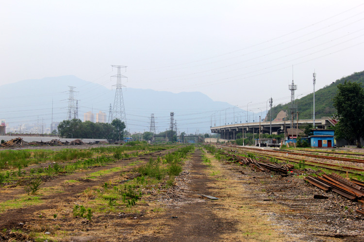 140613石景山养三 002.jpg