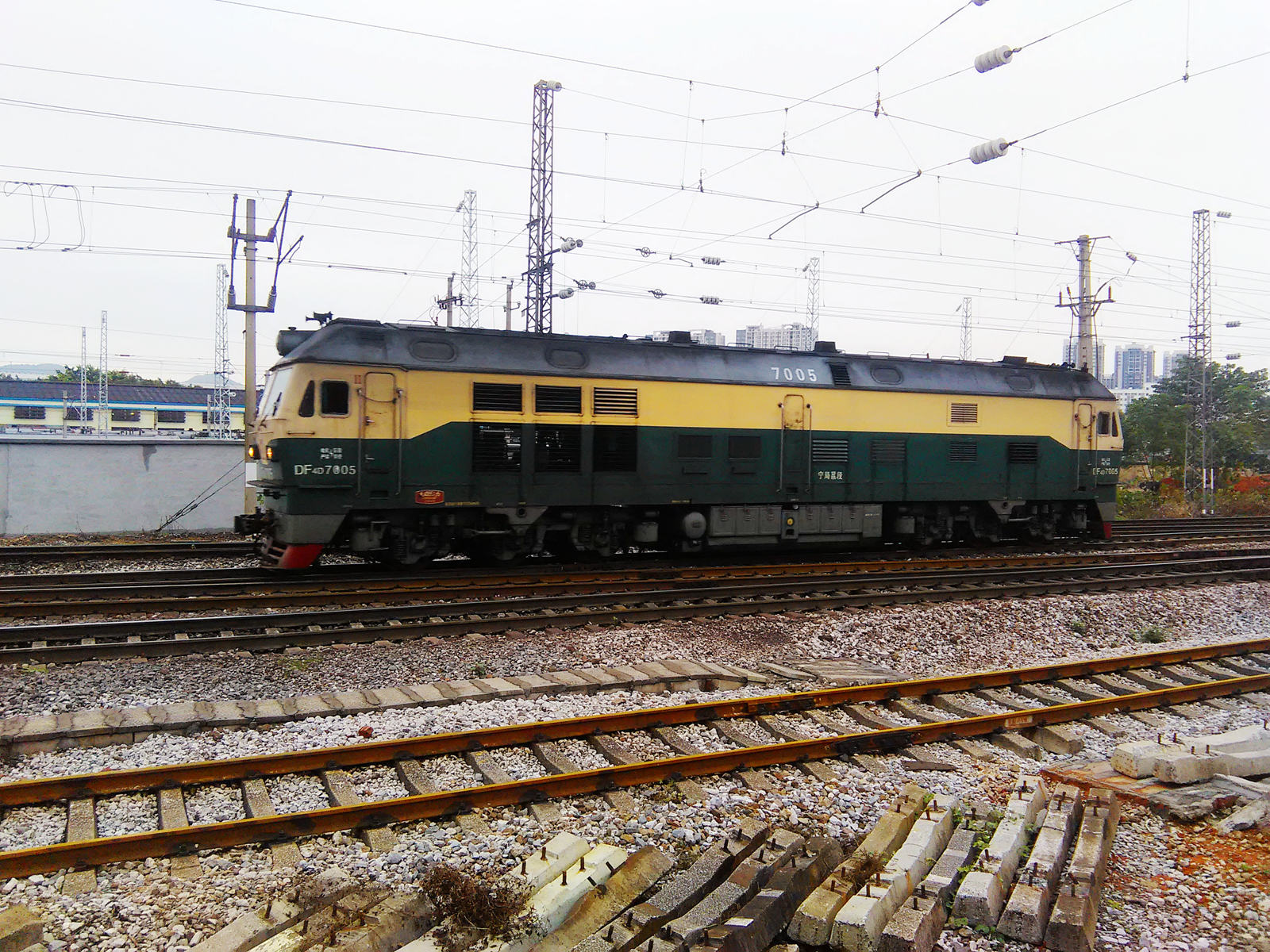 DF4D 7005.jpg