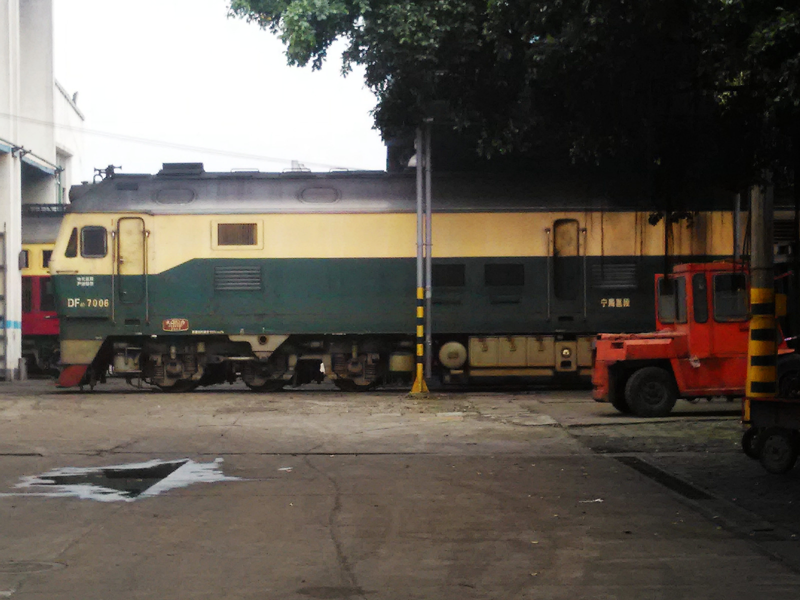 DF4D 7006.jpg