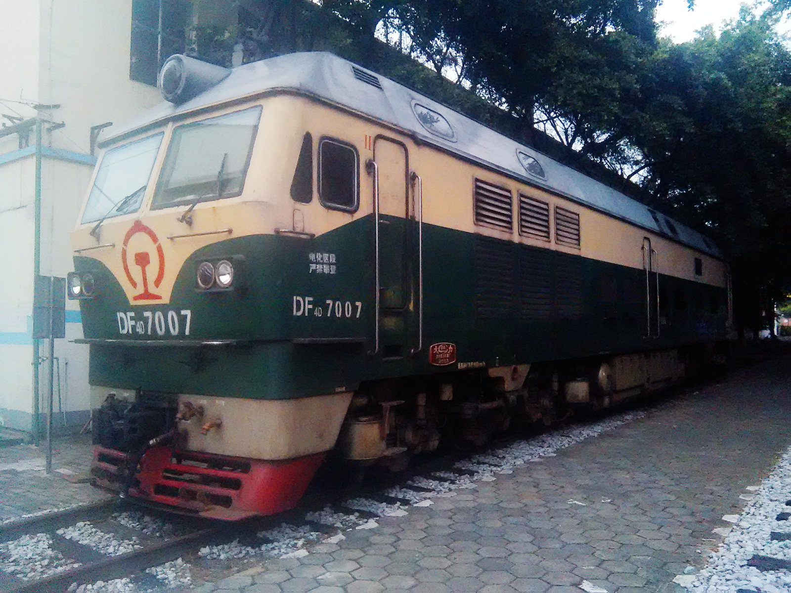 DF4D 7007.jpg