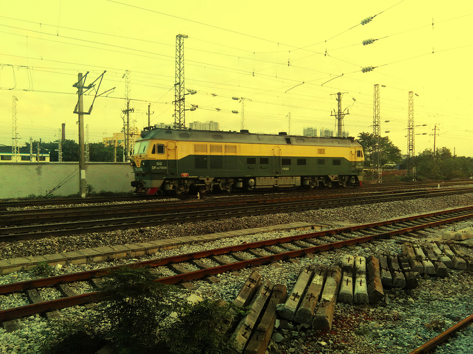 DF4D 7009.jpg